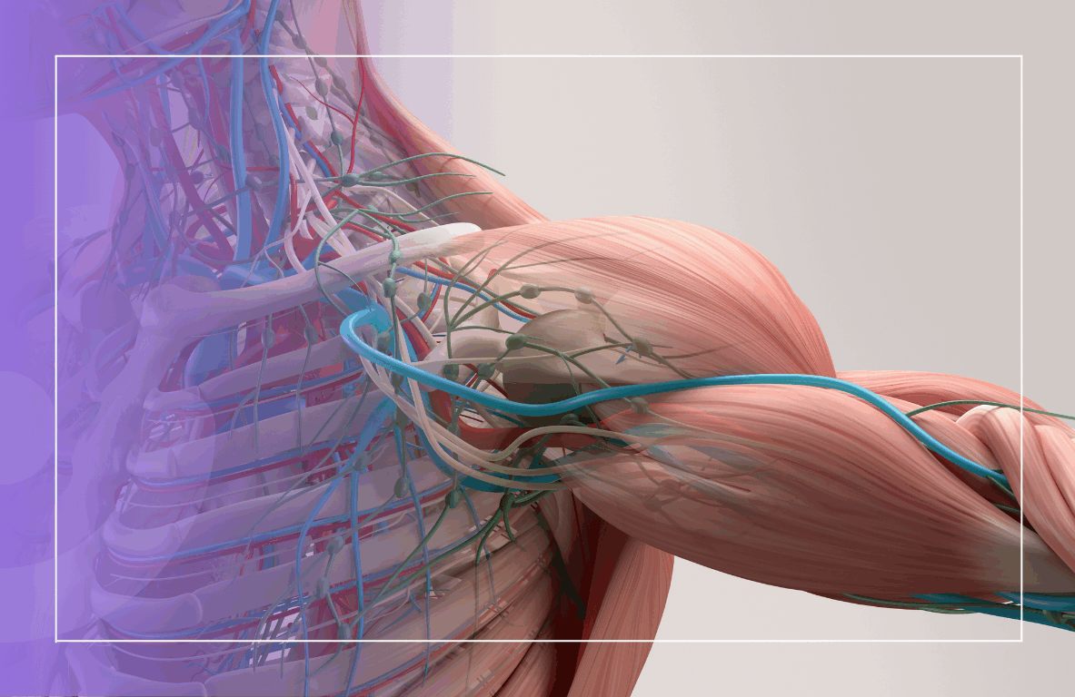 A-listmedicalcannabisclinicllc